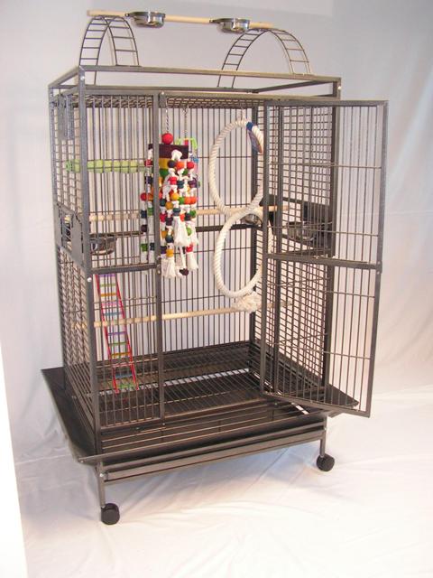 Cage For Cockatiels Hairy Pussy Gals